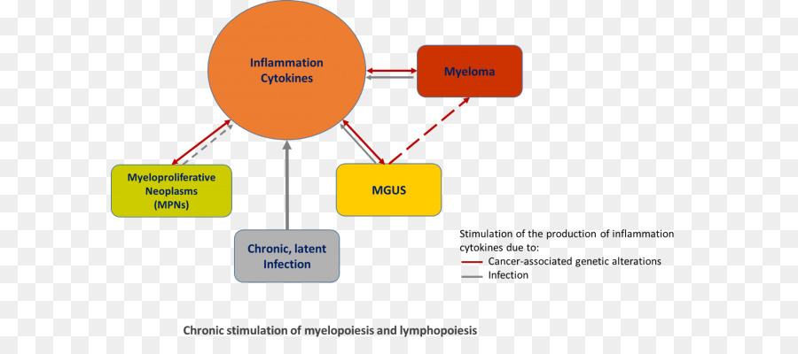 Myeloproliferative，อเนื้องอกของ Hematopoietic และ Lymphoid ทิชชู่ PNG