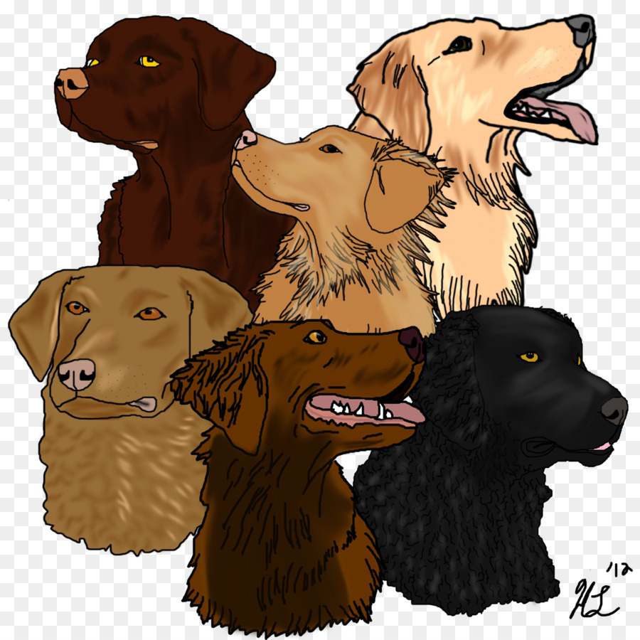 มือนลาบราดอร์ Retriever，Flatcoated PNG