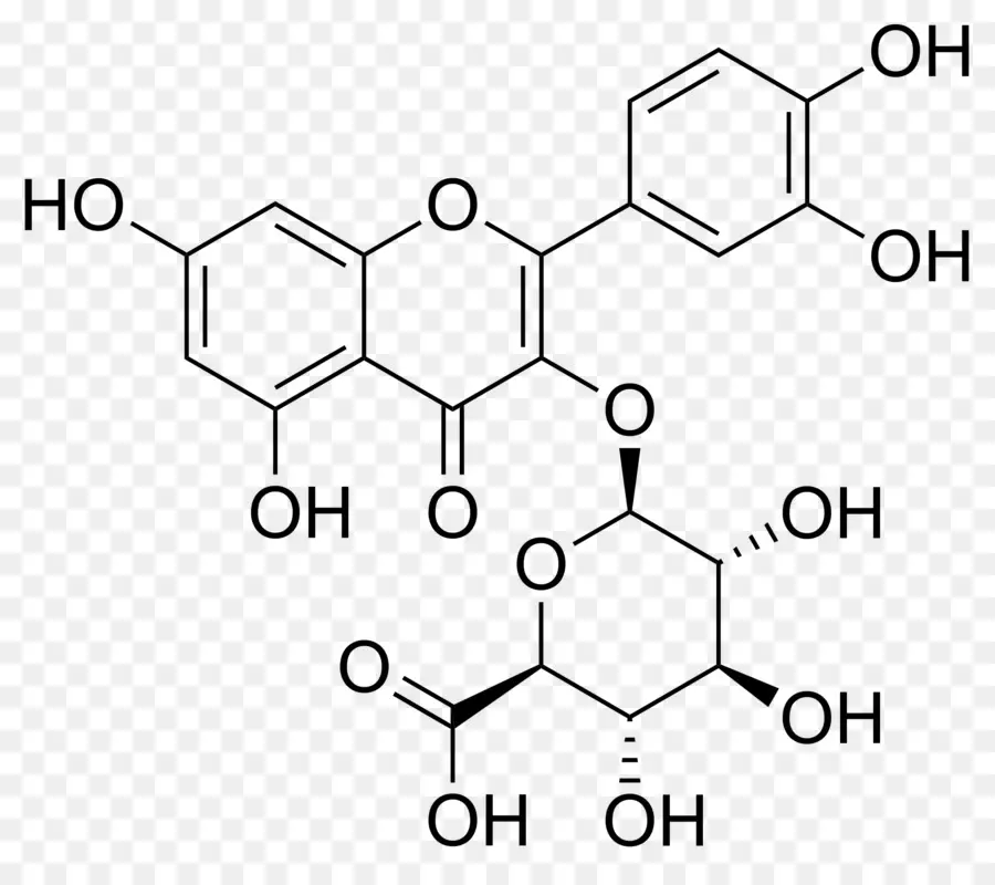 Quercetin，Glycoside PNG