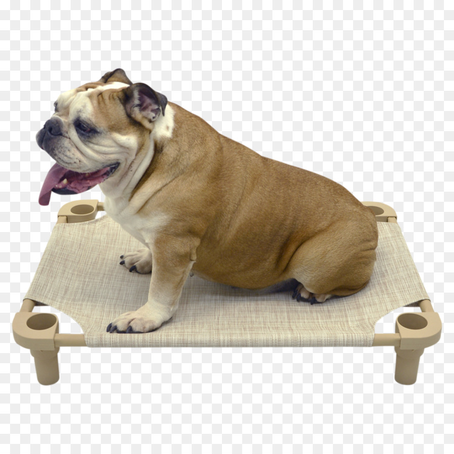 ของเล่นลูด็อก，ดอร์เซ็ท Olde Tyme Bulldogge PNG