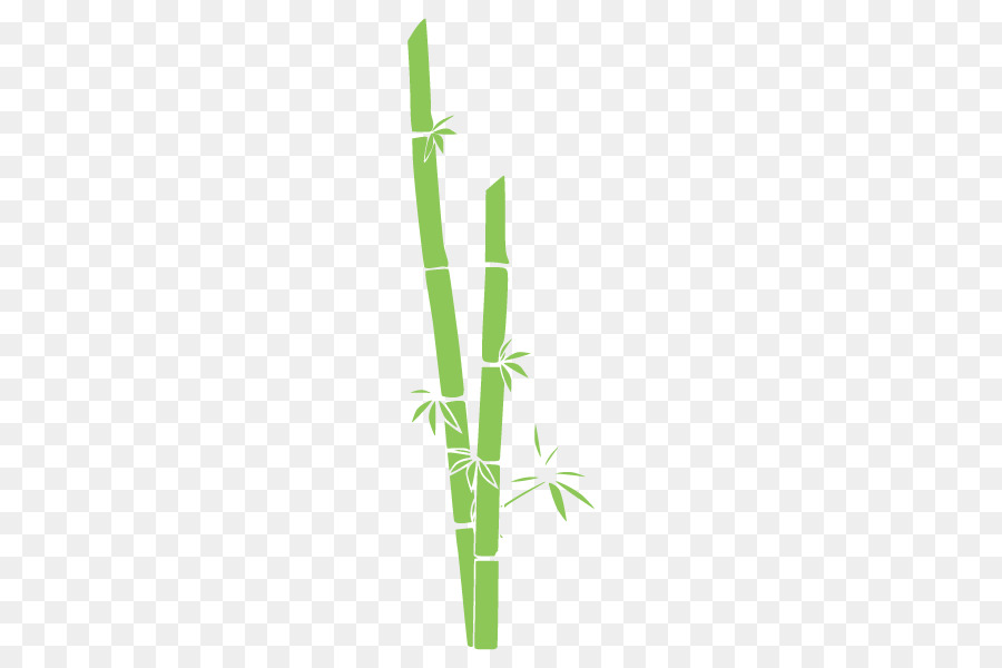 เส้น，เขตร้อนวู้ดดี้ Bamboos PNG