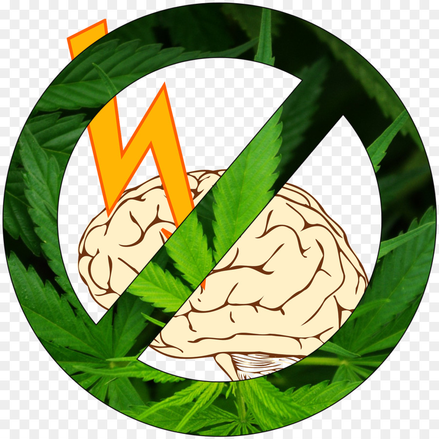 กัญชา，ทางการแพทย์ Cannabis PNG