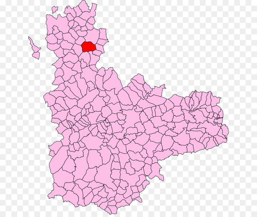 Spain_ Provinces Kgm，Torrelobatón PNG