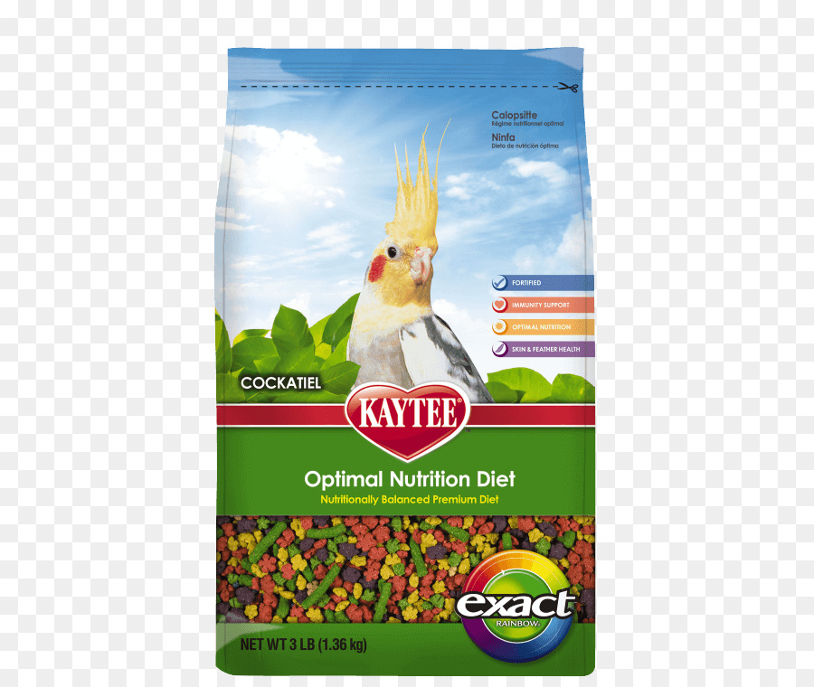 กแก้ว，Cockatiel PNG