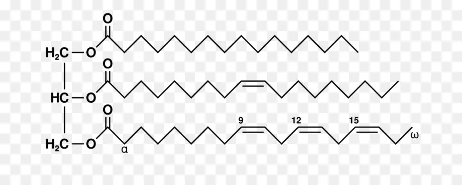 กรด Linolenic，โครงสร้าง PNG