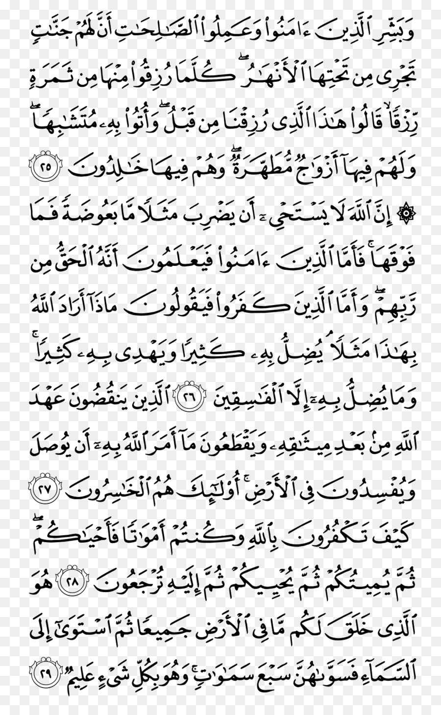 Qur An，Mus Haf PNG