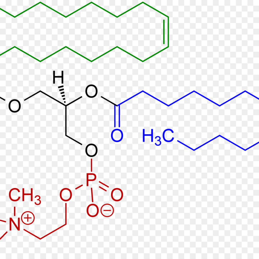 ซิ，Phosphatidylcholine PNG