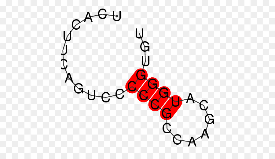 แบรนด์，เส้น PNG