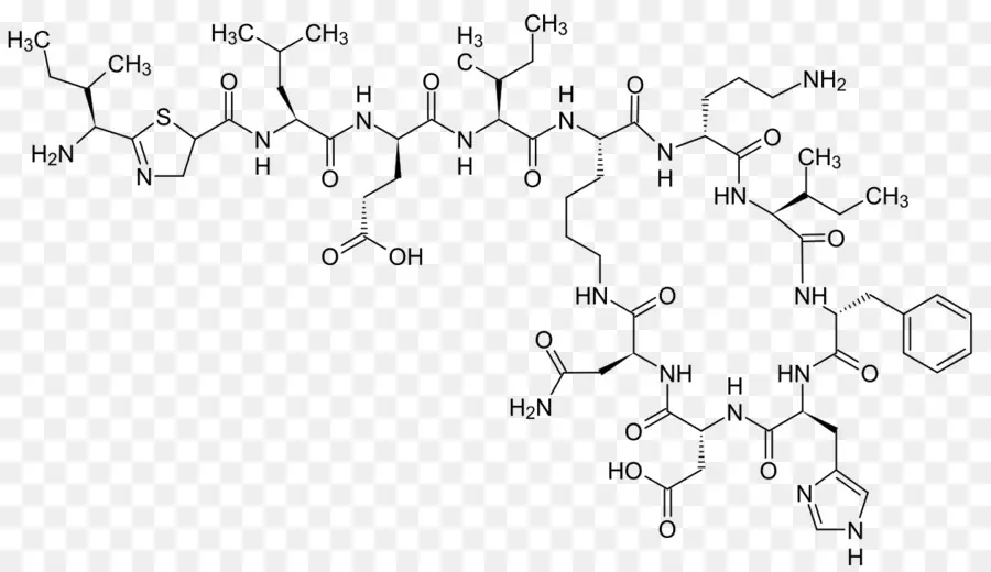 Bacitracin，เปปไทด์ทุกรอบ PNG