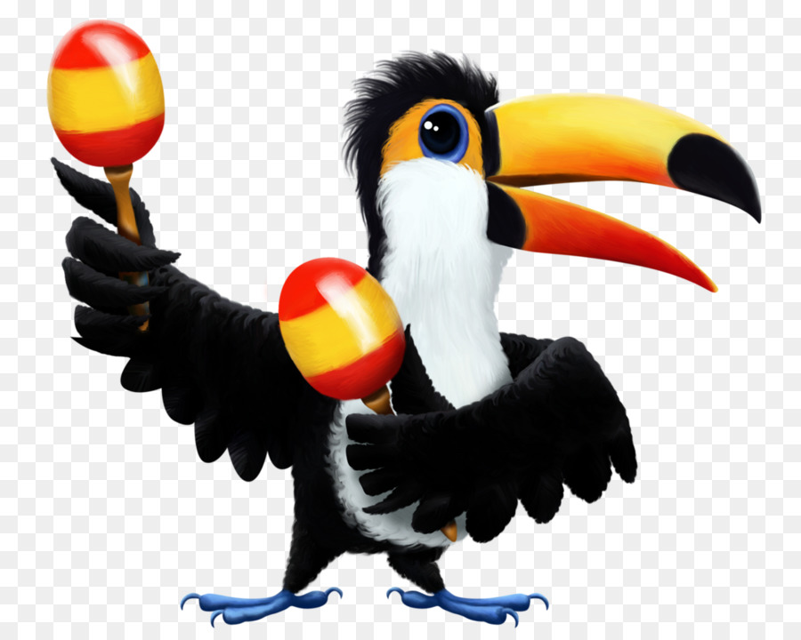 Toucan，นก PNG