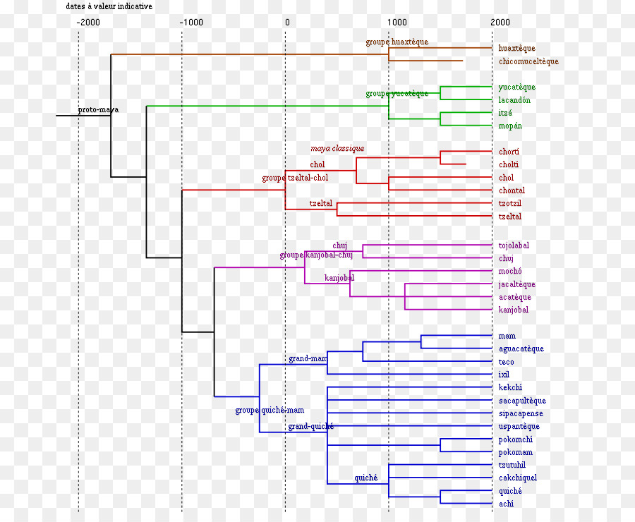 ต้นไม้สายวิวัฒนาการ，วิวัฒนาการ PNG