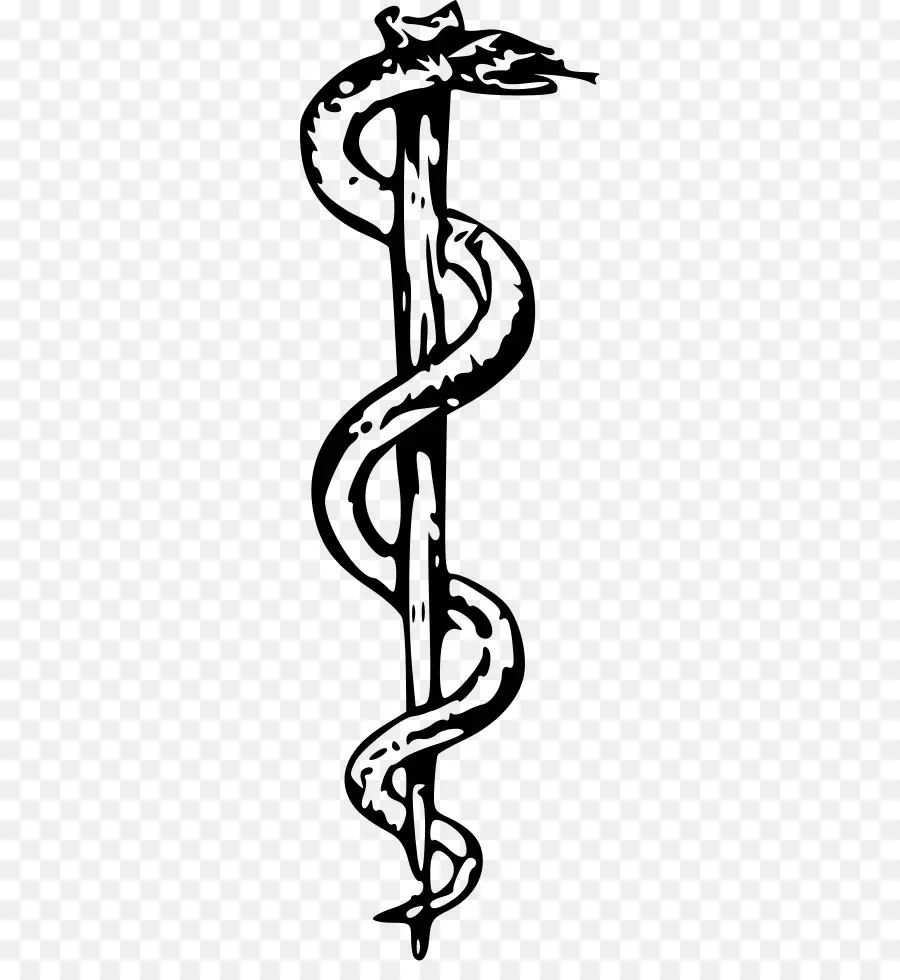 Rod Of Asclepius，งู PNG