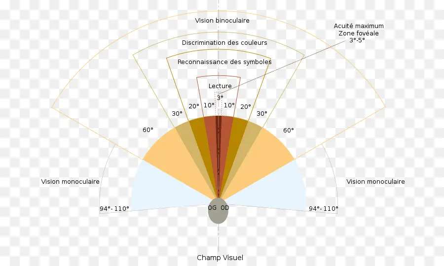 แผนภูมิสนามภาพ，วิสัยทัศน์ PNG