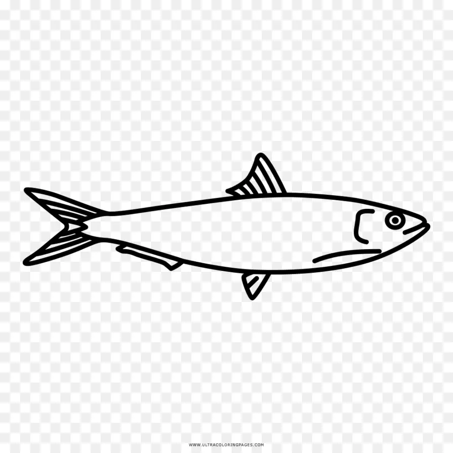 ปลา，วาด PNG