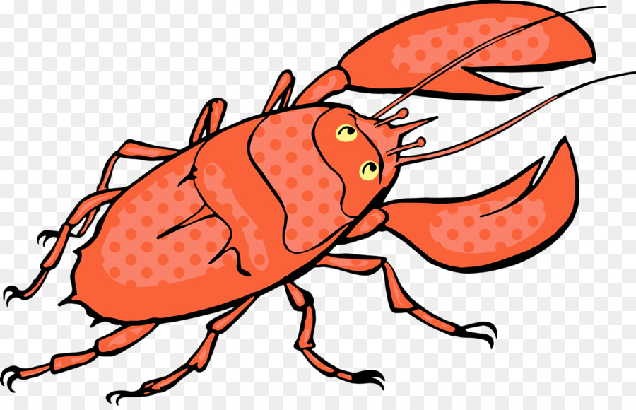 กุ้งมังกรสีแดง，อาหารทะเล PNG