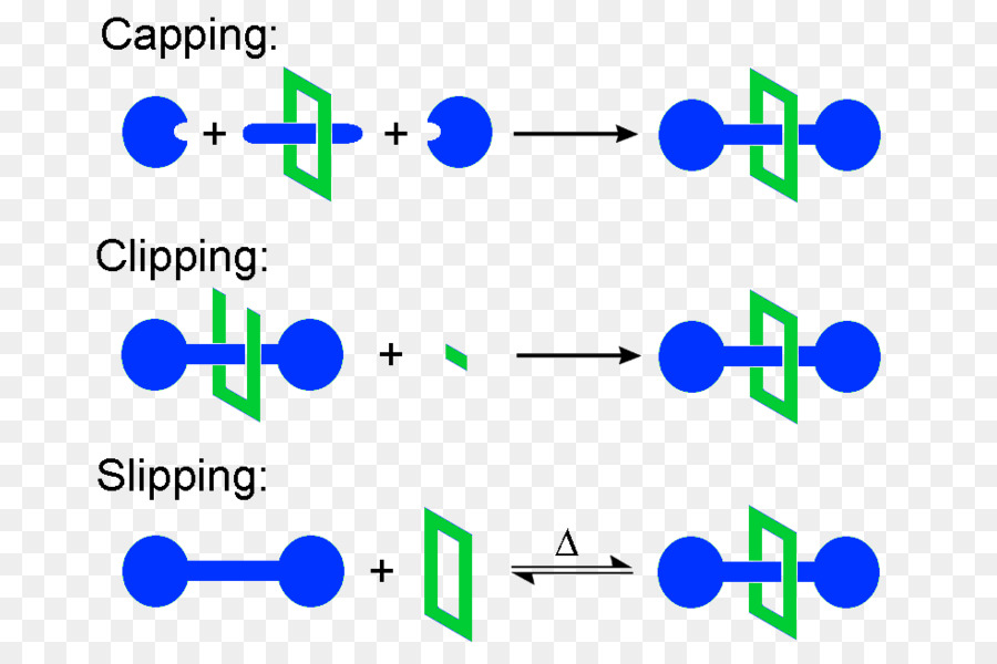 Rotaxane，สารเคมี Synthesis PNG