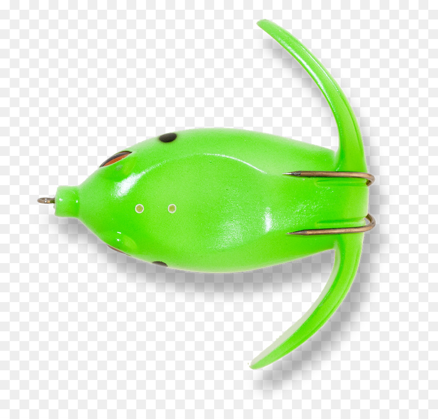 Amphibian，สีเขียว PNG