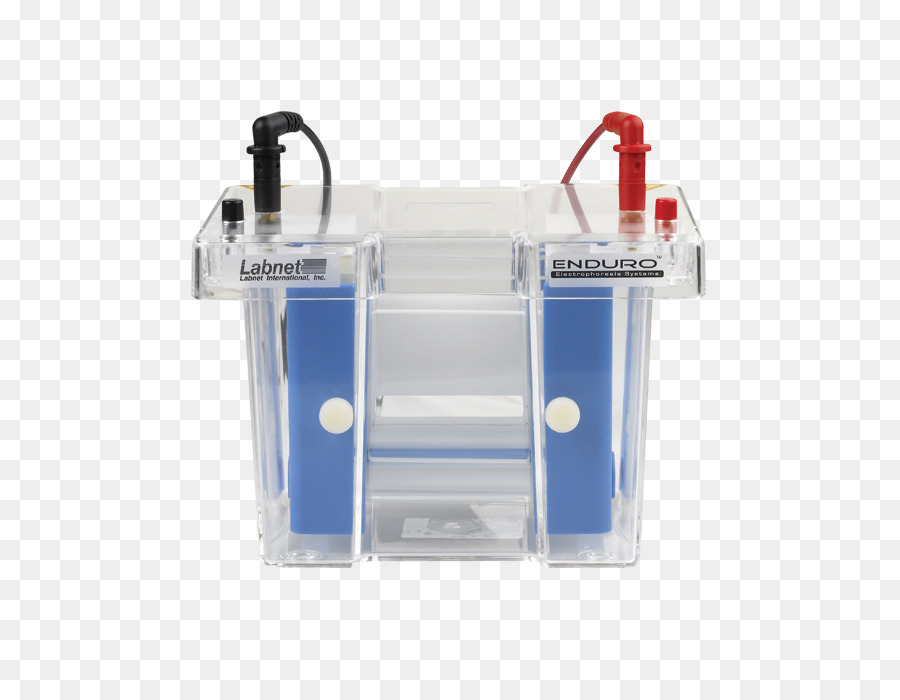 Electrophoresis，หนาแน่นเหมือนเจลใช่แน่นอ Electrophoresis PNG