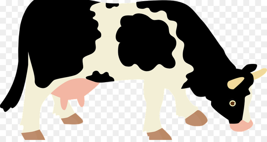 วัวหรอก，ชาวอังกฤษ Shorthair PNG