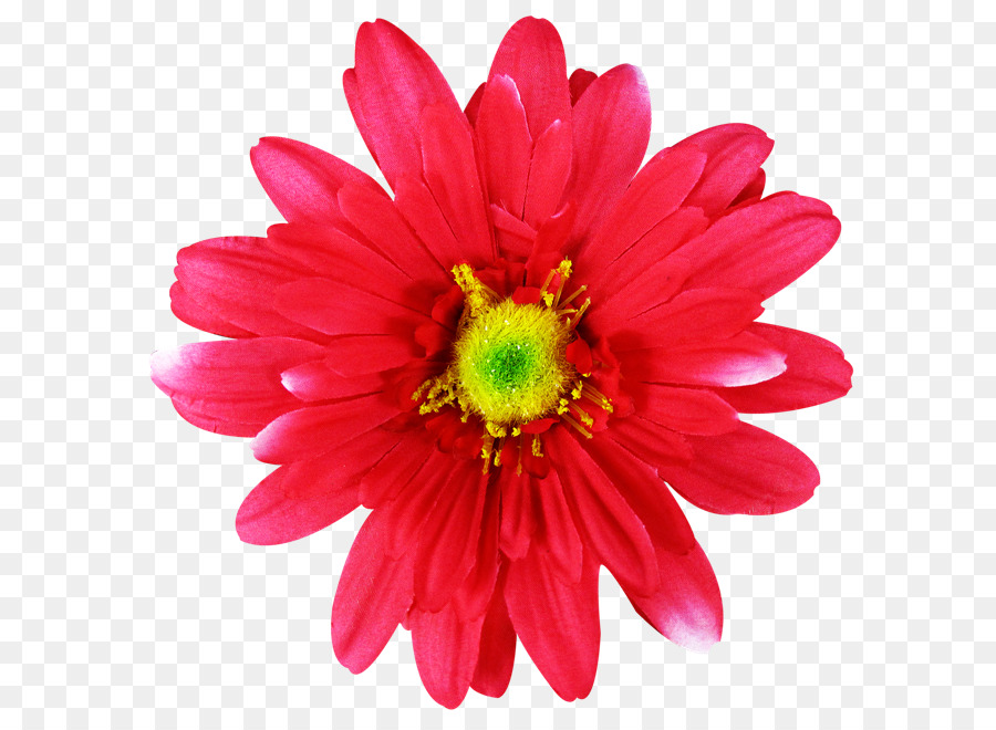Getty ภาพ，ดอกไม้ PNG