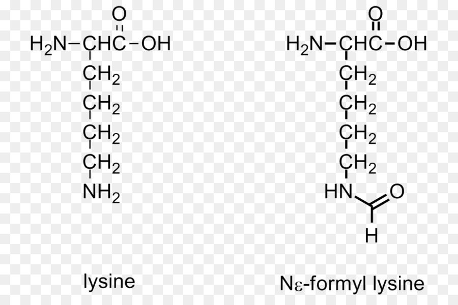 Formylation ปฏิกิริยา，Formylation PNG