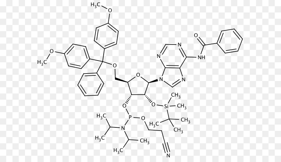 Furosemide，Ototoxicity PNG