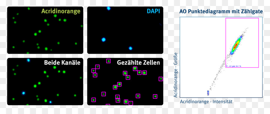 Chemometec，Viability PNG