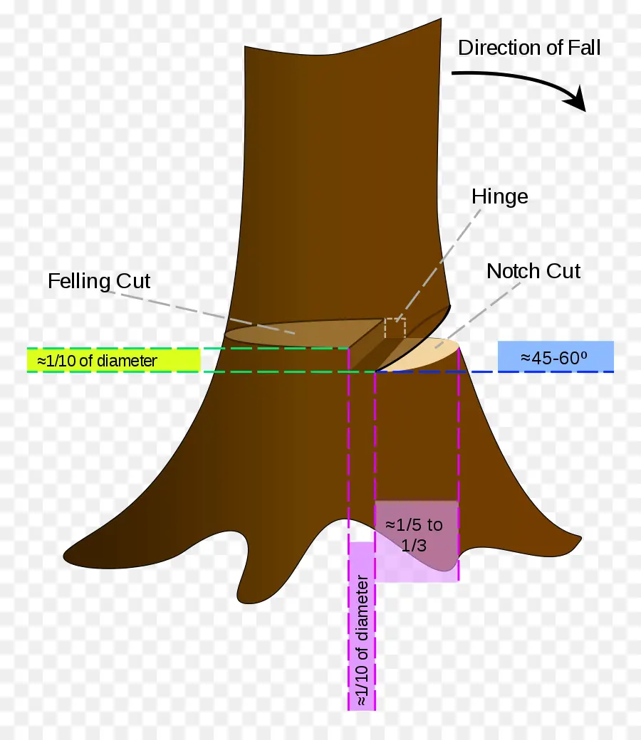 แผนผังการตัดต้นไม้，การโค่น PNG