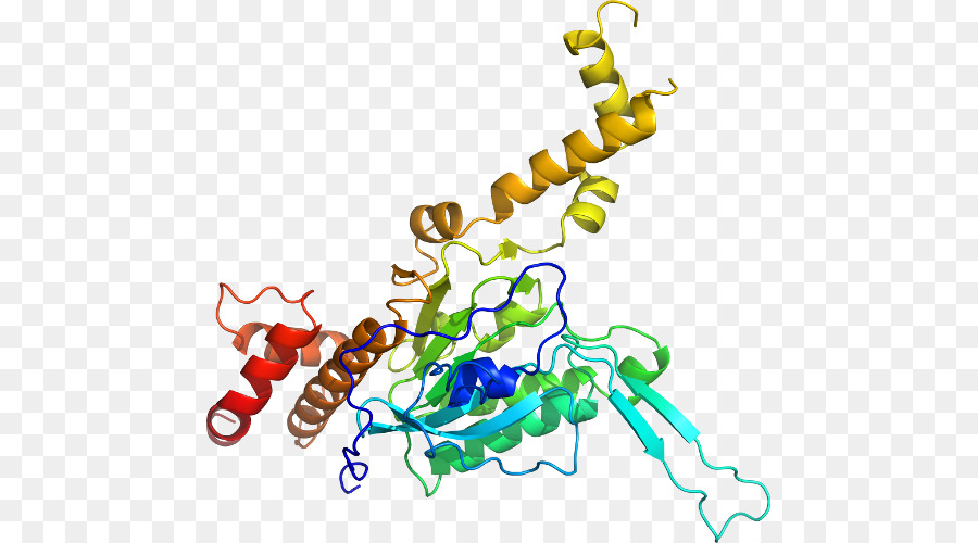 โครงสร้างโปรตีน，โมเลกุล PNG