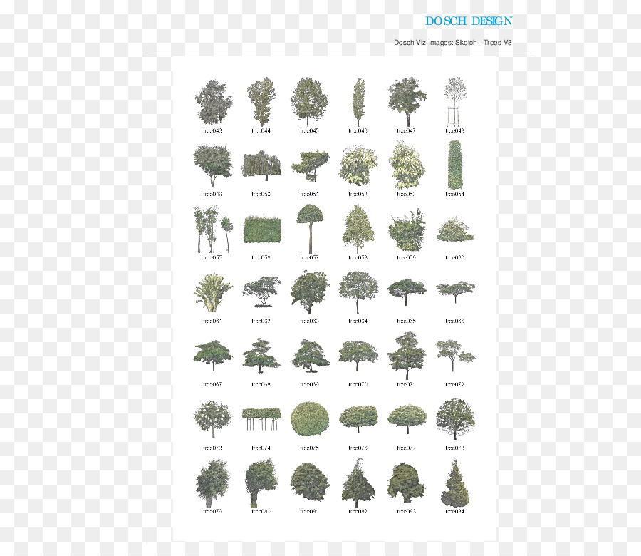 ต้นไม้，สีเขียว PNG