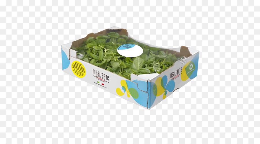 Arugula，สลัด PNG