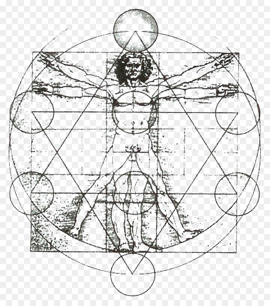 ชาย Vitruvian，Leonardo Da Vinci PNG