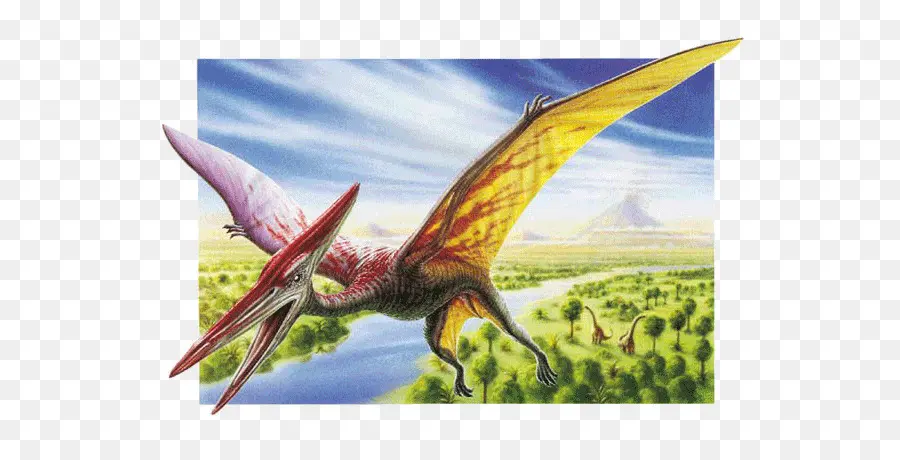 Pterosaur，การบิน PNG