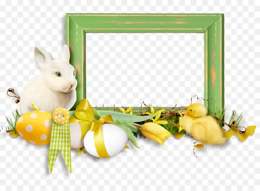 กระต่ายในประเทศ，กระต่ายวันอีสเตอร์ PNG