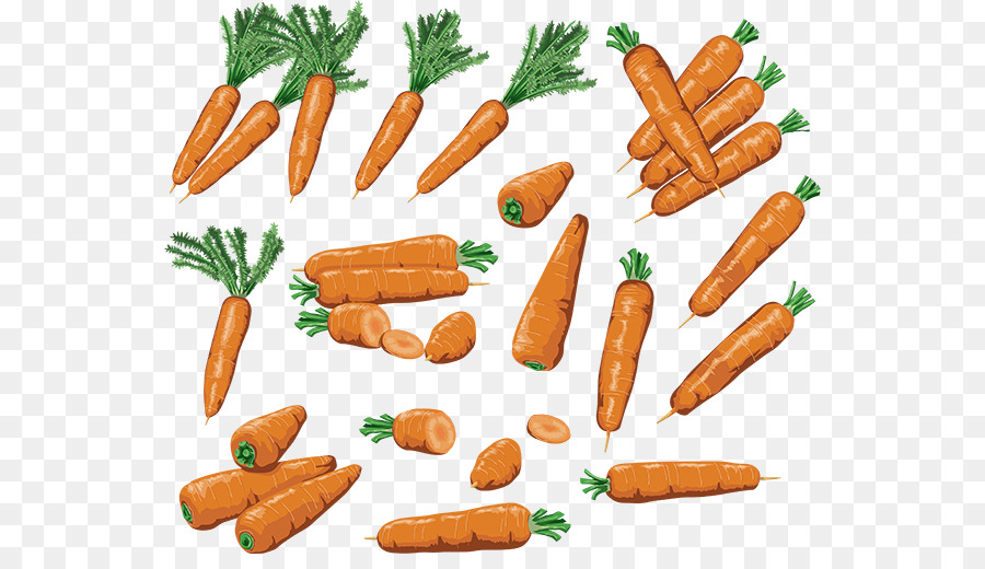 ที่รักแครอท，แครอท PNG