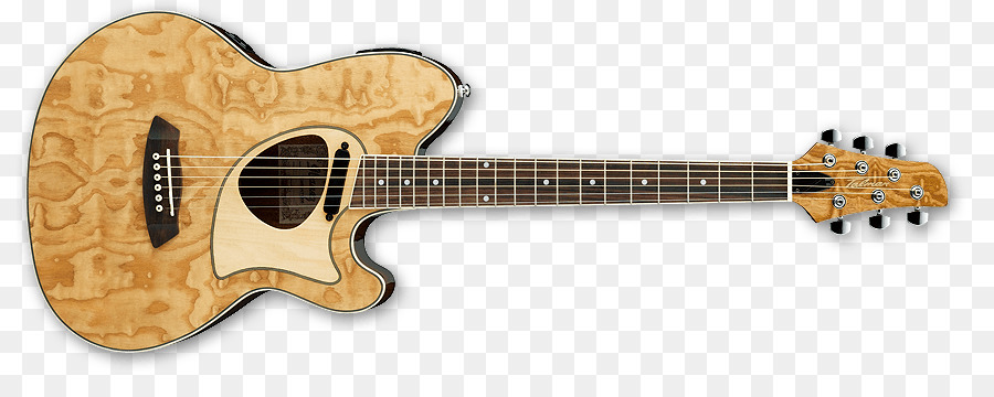 พิทักษ์ Stratocaster，พิทักษ์ Jimi Hendrix Stratocaster PNG