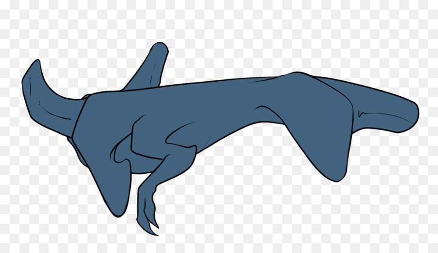 แฮมเมอร์เฮดฉลาม，ฉลาม PNG