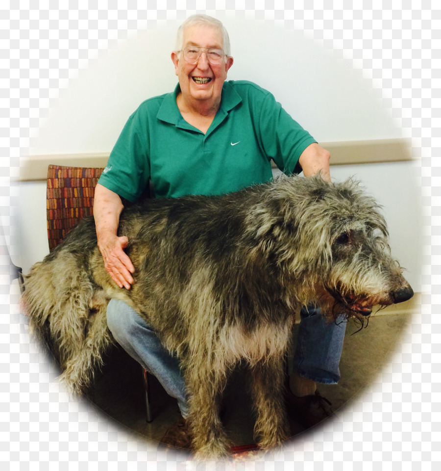 เกลน，สก๊อตโทรจากปารีส Deerhound PNG