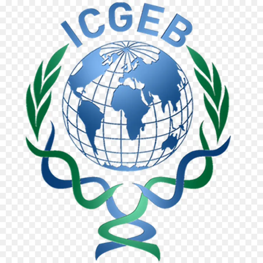 Italyprovince Kgm，Icgeb PNG