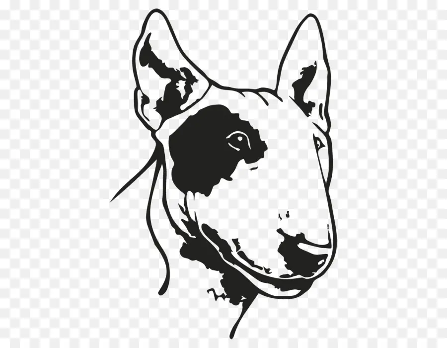 Bull Terrier，สุนัข PNG