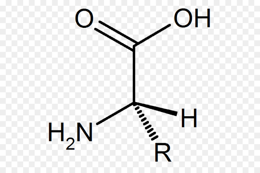 กรด，Carboxylic กรด PNG