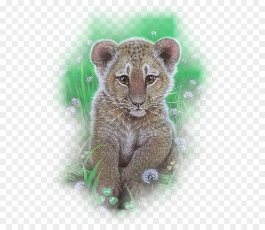 Cute Lion Cub，ลูก PNG