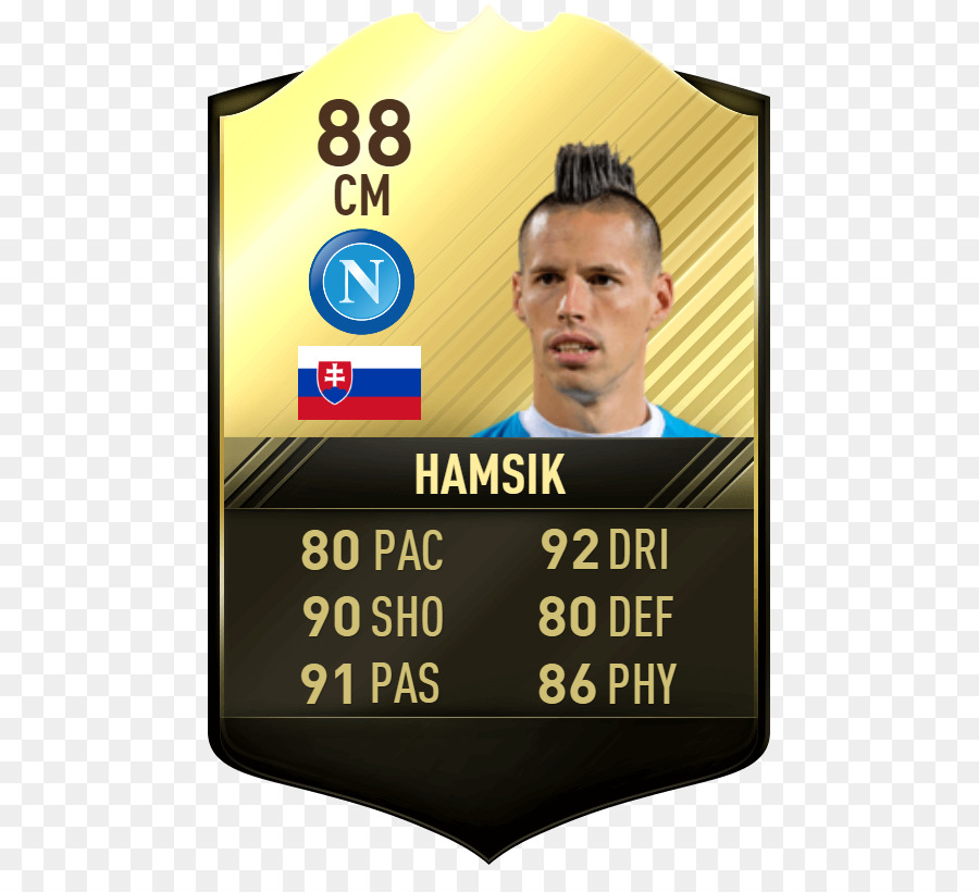 การ์ดผู้เล่น Hamsik，แฮมซิค PNG