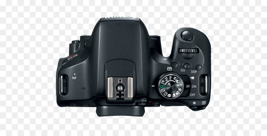 Canon Name 77d，Canon Name 800d PNG
