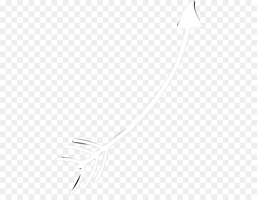 สีขาว，ขนนก PNG
