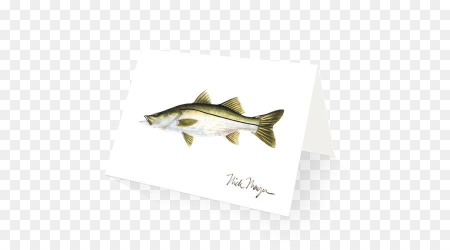 ปลา，ซีเอฟแอน PNG