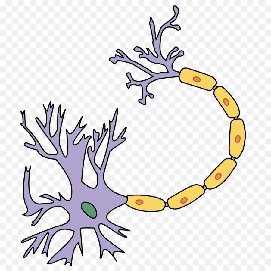 เซลล์ประสาท，ห้องขัง PNG
