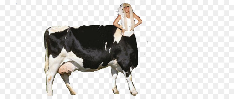 Dairy วัว，Taurine วัว PNG