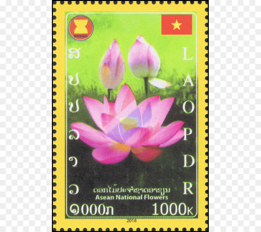 Flowering ต้นไม้，ต้นไม้ PNG