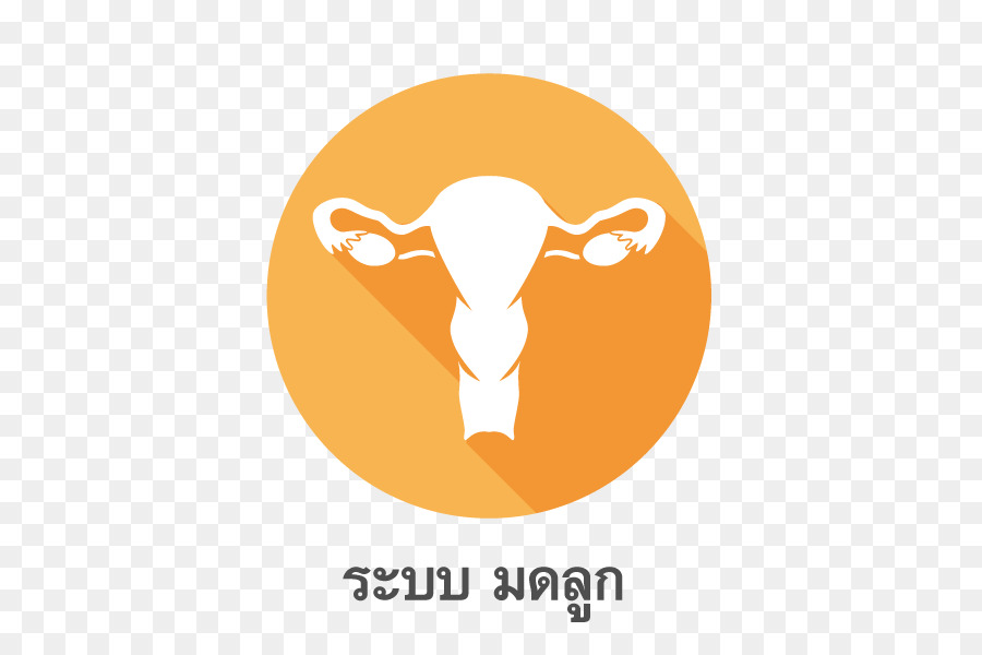 รถ，กำปั้น PNG